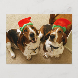 Happy Howlidays Postkarte