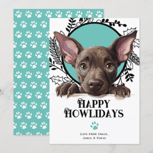 Happy Howlidays Xoloitzcuintli Weihnachten