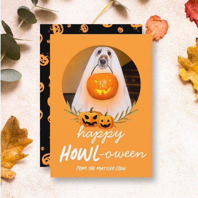 Happy Howloween | Halloween Pet Foto Feiertagskarte (Von Creator hochgeladen)