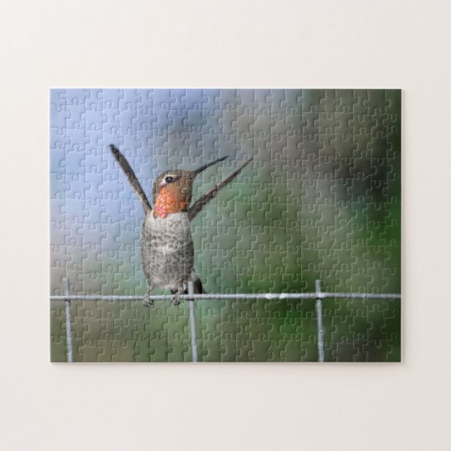 Happy Hummingbird (Horizontal)