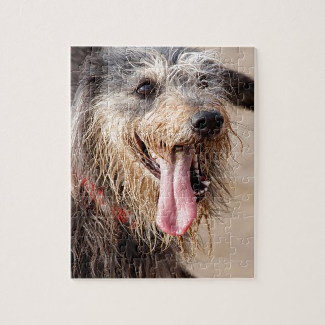 Happy Hund am Strand (Vertikal)