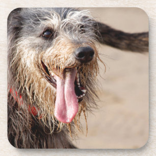 Happy Hund am Strand Getränkeuntersetzer