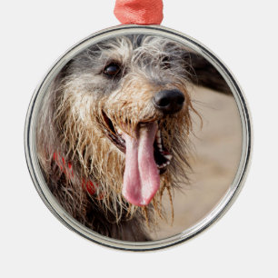 Happy Hund am Strand Ornament Aus Metall