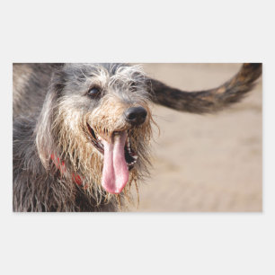 Happy Hund am Strand Rechteckiger Aufkleber