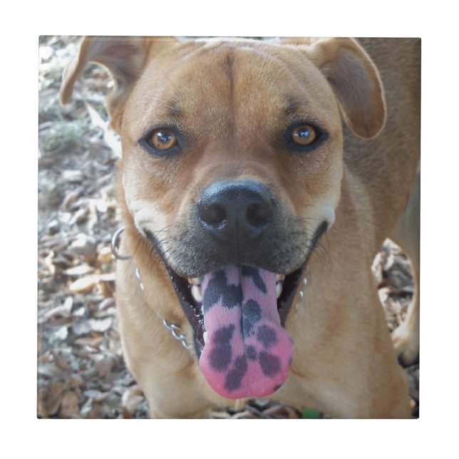 Happy Hund gepunktet Zunge Fliese (Vorderseite)