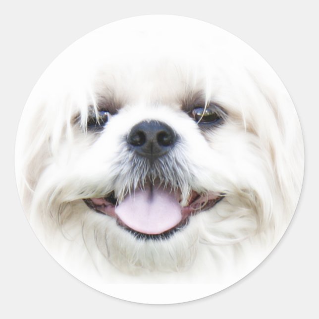 Happy Hund Gesichtsaufkleber Runder Aufkleber (Vorderseite)