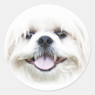 Happy Hund Gesichtsaufkleber Runder Aufkleber