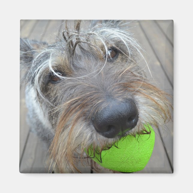 Happy Hund mit Ball Magnet (Vorne)