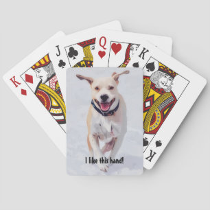 Happy Hund Pop Niedliches Spielen Spielkarten