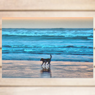 Happy Hund und Reflektion am Strand bei Sunset Seidenpapier