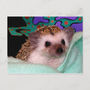 Happy Igel Postkarte