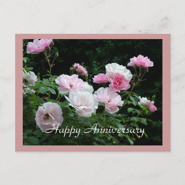 Happy Jubiläum rosa Rosa Blume Karte. Postkarte (Vorderseite)