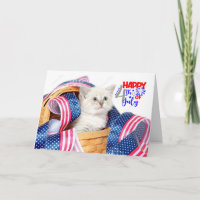 Happy July 4. Cat