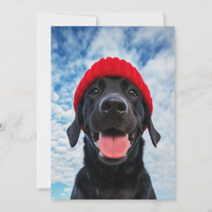 Happy Labrador in einer Roten Beanie Unter blauem Einladung