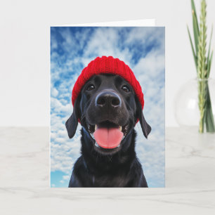 Happy Labrador in einer Roten Beanie Unter blauem Einladung