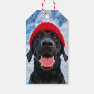 Happy Labrador in einer Roten Beanie Unter blauem Geschenkanhänger