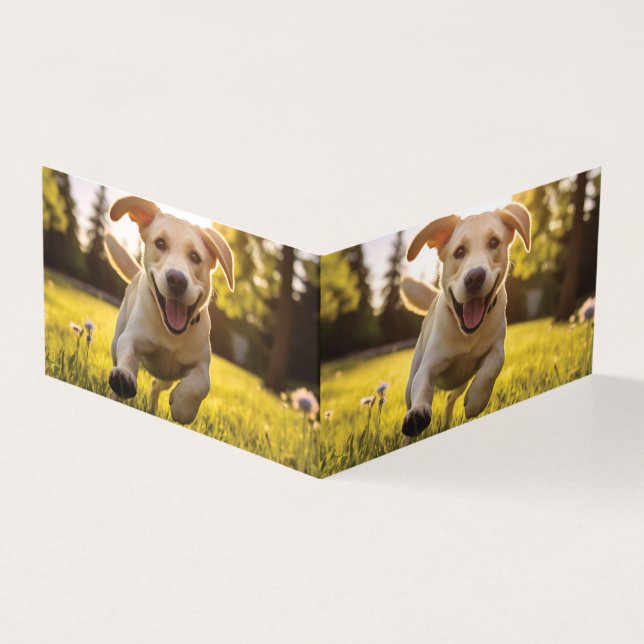 Happy Labrador Puppy Running (Vorderseite)