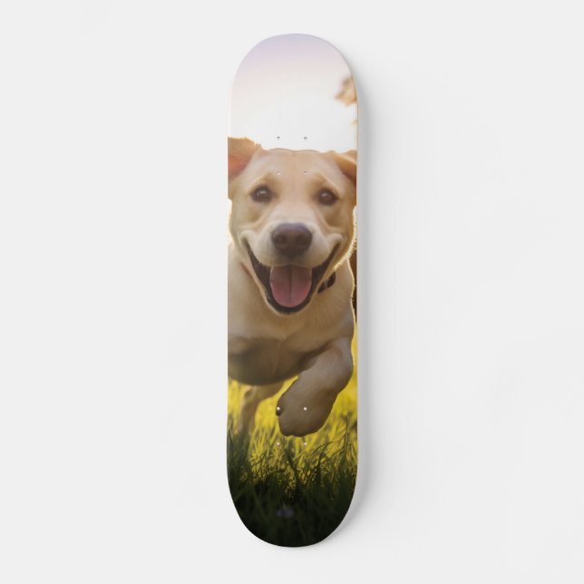 Happy Labrador Puppy Running Skateboard (Vorderseite)