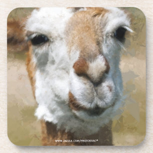 Happy Lama, Maleffekt Untersetzer