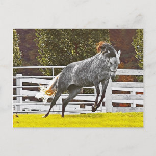 Happy Leaping Horse Postkarte