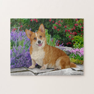 "Happy Little Corgi"