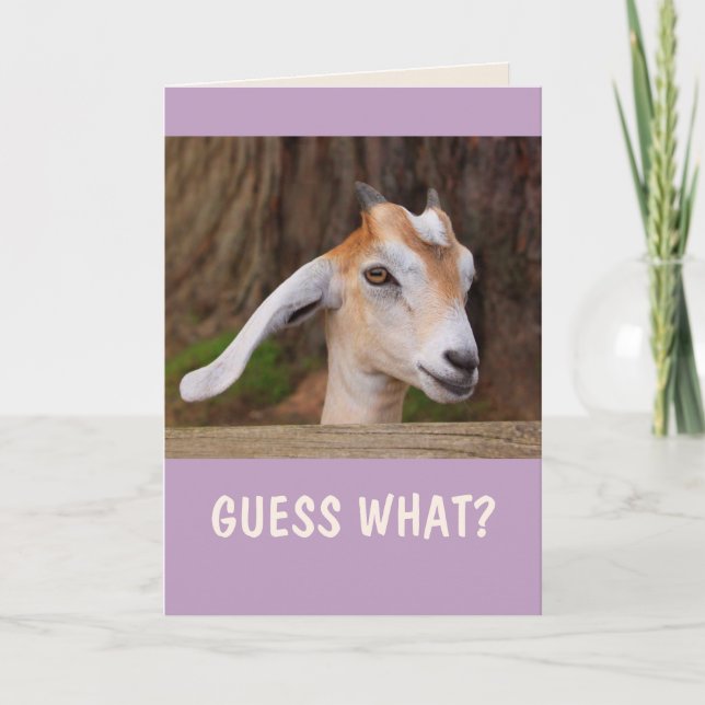 Happy Little Goat Birthday Karte (Vorderseite)