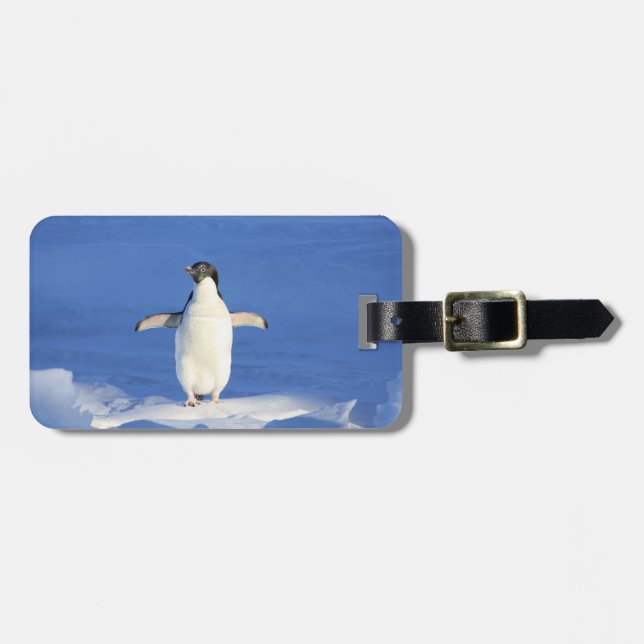 Happy Little Pinguin Gepäckmarke Gepäckanhänger (Vorderseite horizontal)
