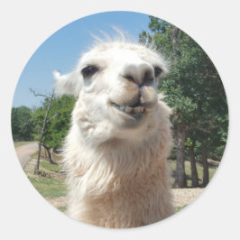 Happy Llama Runder Aufkleber