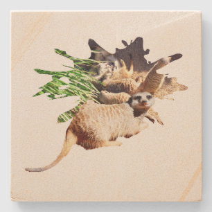 Happy Meerkat with Pups, Steinuntersetzer