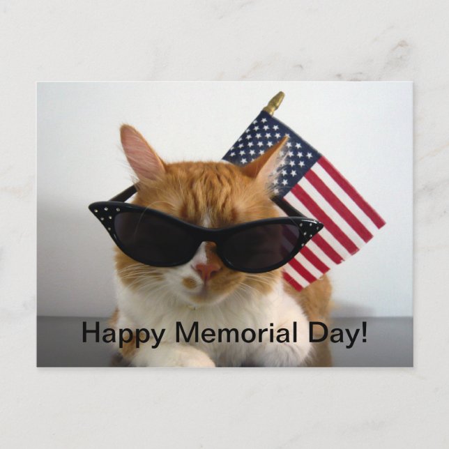 Happy Memorial Day Cool Cat mit Flag Postcard Postkarte (Vorderseite)