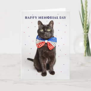 Happy Memorial Day Niedlich Patriotic Katze in Bow Feiertagskarte
