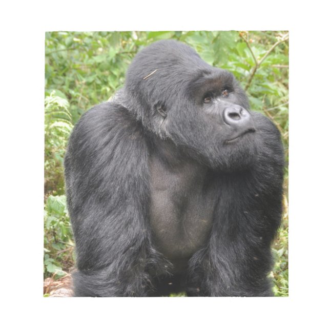 Happy Monkey Notizblock (Vorderseite)