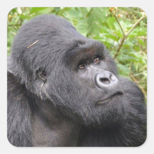 Happy Monkey Quadratischer Aufkleber (Vorderseite)