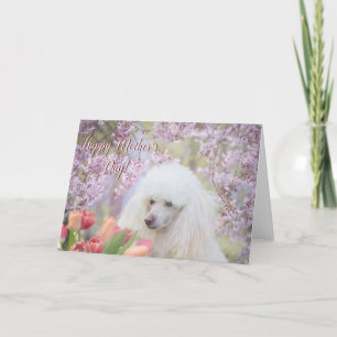 Happy Mother Day Poodle Hund Grußkarte Karte