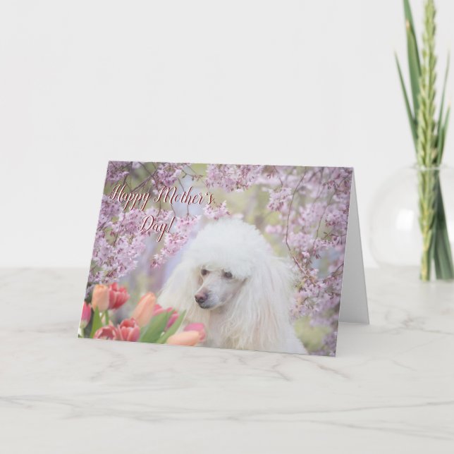 Happy Mother Day Poodle Hund Grußkarte Karte (Vorderseite)