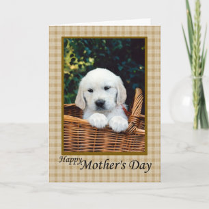 Happy Mother Day Puppy in einem Korb Karte