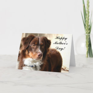Happy Mother's Day Aussie Grußkarte Karte