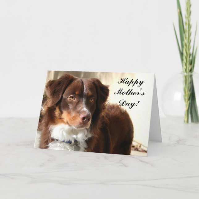 Happy Mother's Day Aussie Grußkarte Karte (Vorderseite)