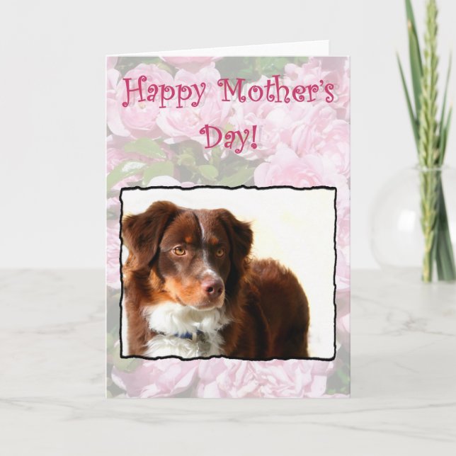 Happy Mother's Day Australian Shepherd card Karte (Vorderseite)