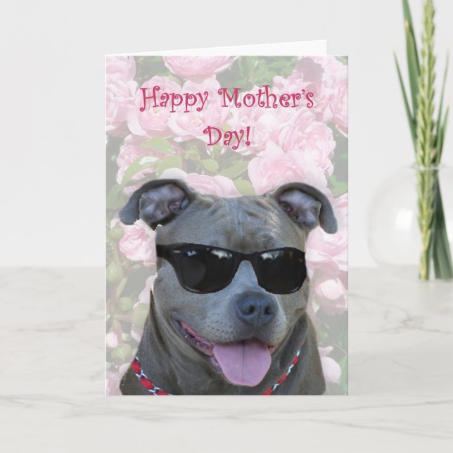Happy Mother's Day Blue Pillen mit Brille Karte (Vorderseite)