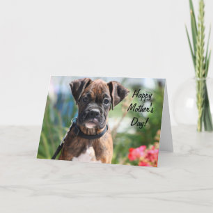 Happy Mother's Day Boxer Grußkarte Karte