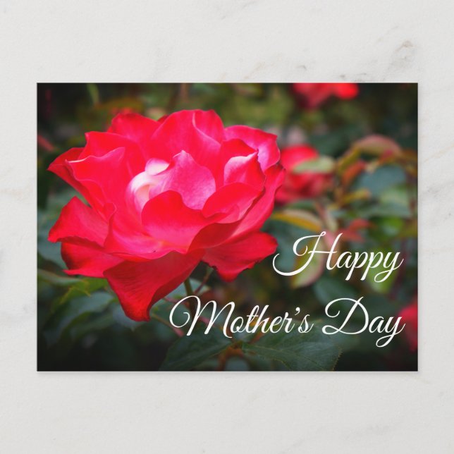 Happy Mother's Day Cherry Parfait Rose #2 Postkart Postkarte (Vorderseite)