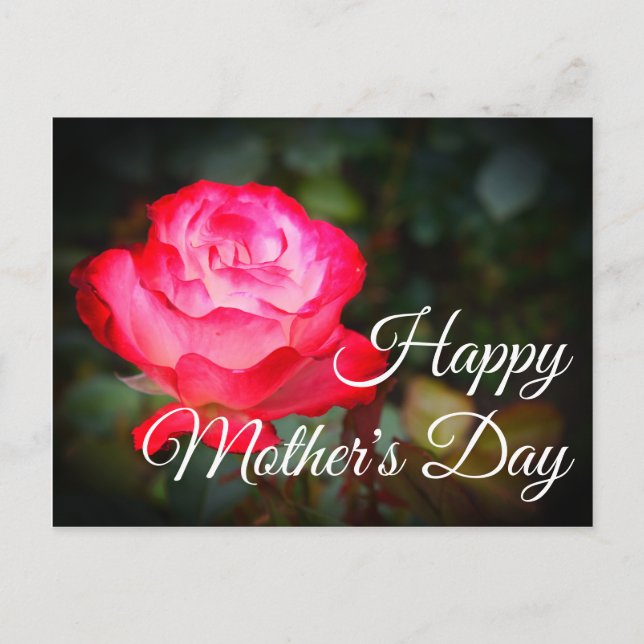 Happy Mother's Day Cherry Parfait Rose #3 Postkart Postkarte (Vorderseite)