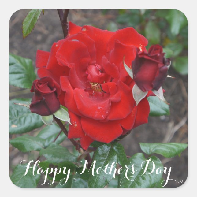 Happy Mother's Day Crimson Bouquet #1 Stickers (Vorderseite)