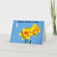 Happy Mother's Day Daffodils Gold Medal Blume