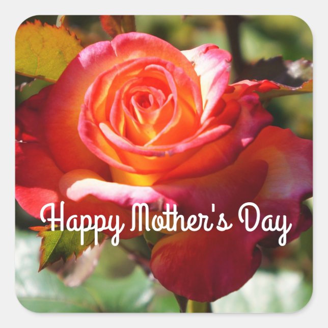 Happy Mother's Day Dream Come True Rose #2 Quadratischer Aufkleber (Vorderseite)