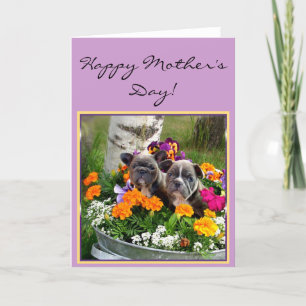 Happy Mother's day French Bulldogs Grußkarte Karte