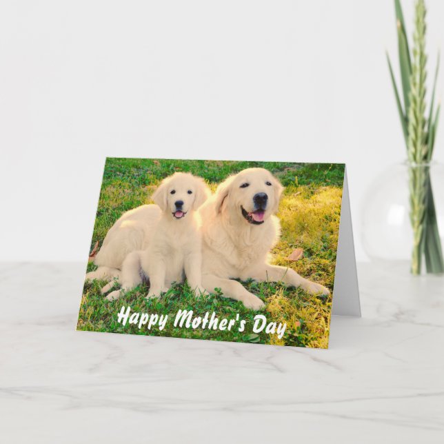 Happy Mother's Day Golden Retriever Hunde Tier Karte (Vorderseite)