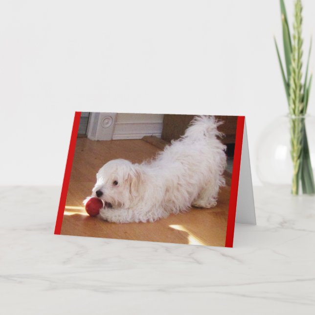 Happy Mother's Day - Havanese Welpe Karte (Vorderseite)