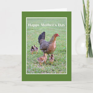 Happy Mother's Day Hen and Chicks Karte